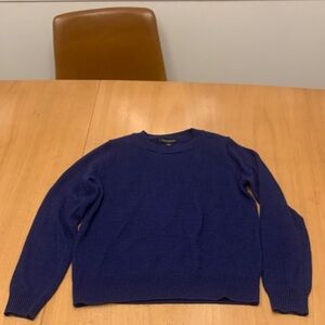 Banana Republic Royal Blue Knit Pullover